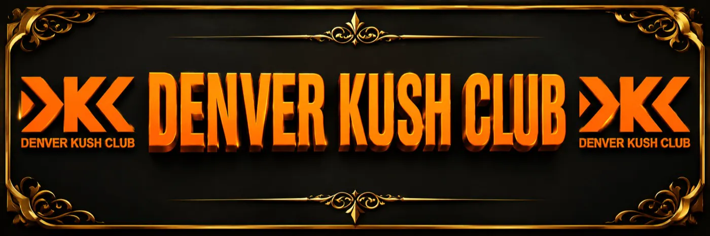 MVT & more: Dkc Banner Final.Webp