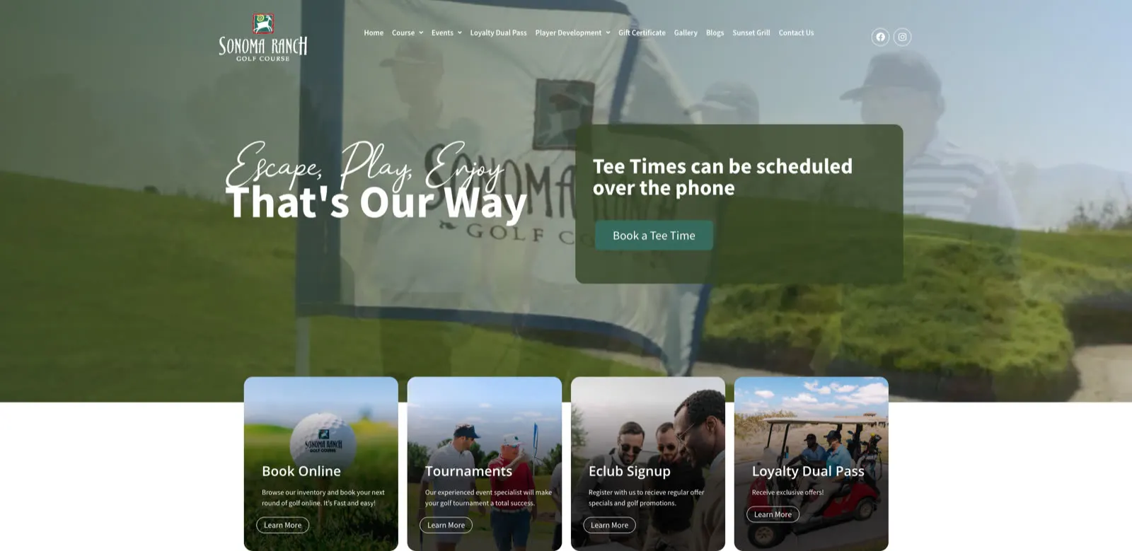 Website build 13